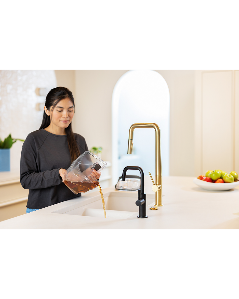 Dolphin MinjaPortable Water Steam Efficient Cleaning Machine