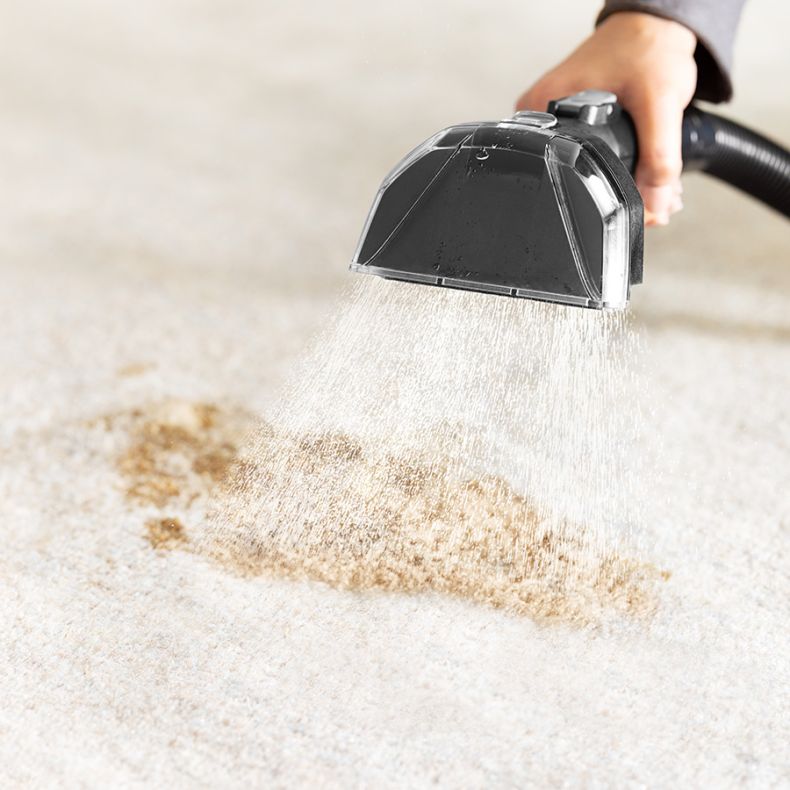 Dolphin MinjaPortable Water Steam Efficient Cleaning Machine